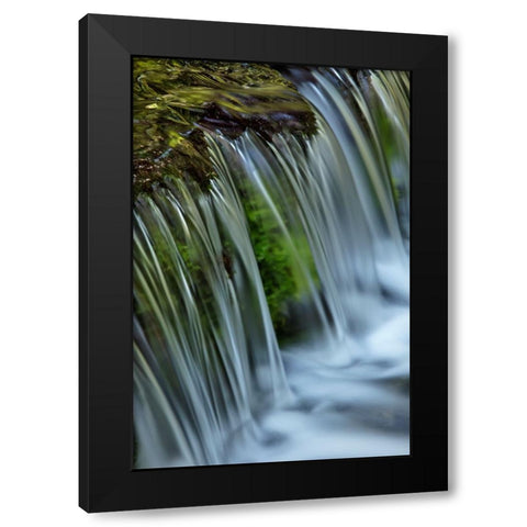 Cascading water-Fern Spring-Yosemite National Park-California Black Modern Wood Framed Art Print by Jones, Adam