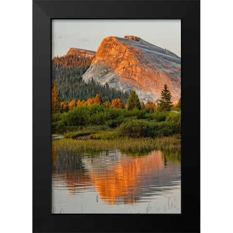 Tuolumne Meadows and Lembert Dome reflected in Tuolumne River Black Modern Wood Framed Art Print by Jones, Adam