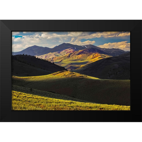 View of meadow in the White Mountains at sunset-Inyo National Forest-California Black Modern Wood Framed Art Print by Jones, Adam