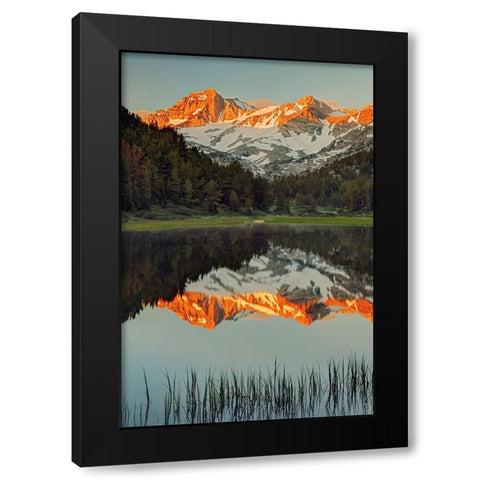 Alpine tarn-Tuolumne Meadows sunrise-Yosemite National Park-California Black Modern Wood Framed Art Print by Jones, Adam