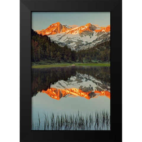 Alpine tarn-Tuolumne Meadows sunrise-Yosemite National Park-California Black Modern Wood Framed Art Print by Jones, Adam