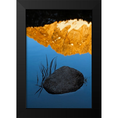 Boulder and grass stems in Alpine tarn-Tuolumne Meadows sunrise-Yosemite National Park-California Black Modern Wood Framed Art Print by Jones, Adam