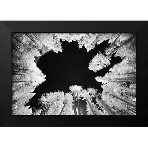 Infrared image of view up through trees-Yosemite National Park-California Black Modern Wood Framed Art Print by Jones, Adam