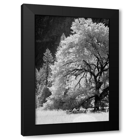 Yosemite Valley in infrared black and white-Yosemite National Park-California Black Modern Wood Framed Art Print with Double Matting by Jones, Adam