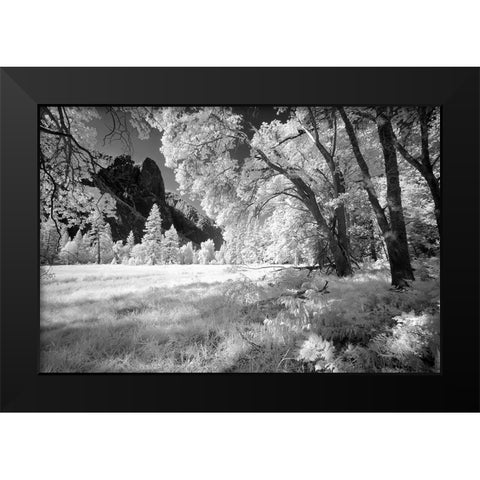 Yosemite Valley in infrared black and white-Yosemite National Park-California Black Modern Wood Framed Art Print by Jones, Adam