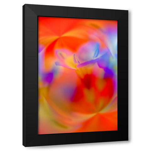 Abstract of Davy Gilia flowers-Antelope Valley California Poppy Preserve-Lancaster-California Black Modern Wood Framed Art Print with Double Matting by Jones, Adam