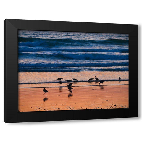 Morro Bay Shore Black Modern Wood Framed Art Print with Double Matting by Miller, Anna