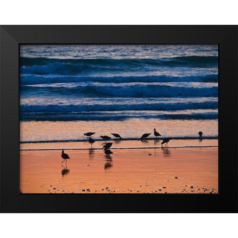 Morro Bay Shore Black Modern Wood Framed Art Print by Miller, Anna