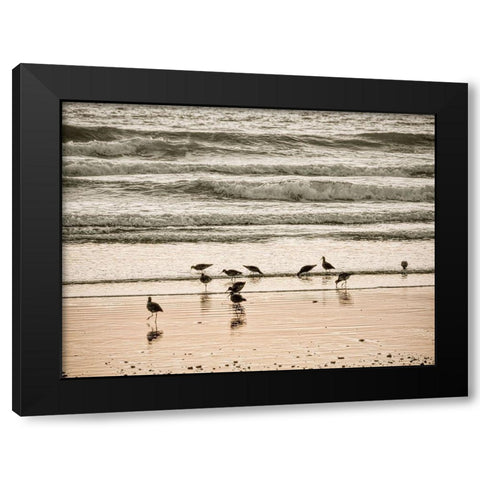 Morro Bay Shore Black Modern Wood Framed Art Print by Miller, Anna