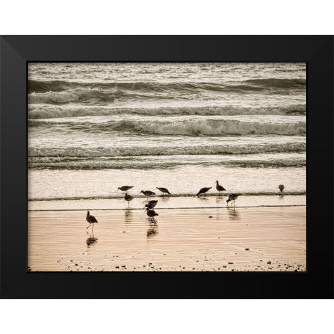Morro Bay Shore Black Modern Wood Framed Art Print by Miller, Anna