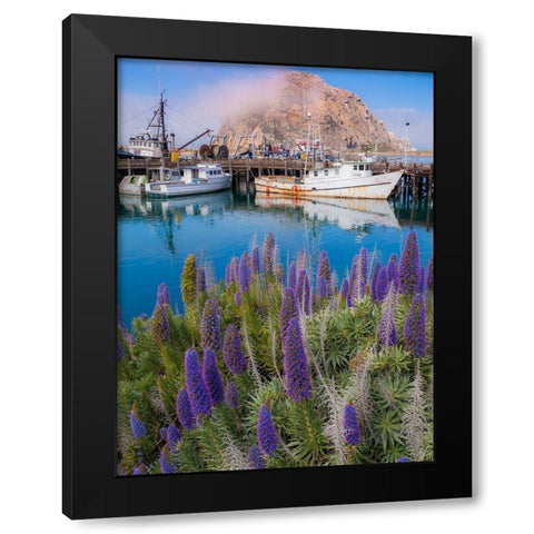 Boat Docks on Morro Bay-California-USA Black Modern Wood Framed Art Print with Double Matting by Miller, Anna