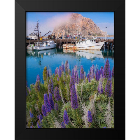 Boat Docks on Morro Bay-California-USA Black Modern Wood Framed Art Print by Miller, Anna