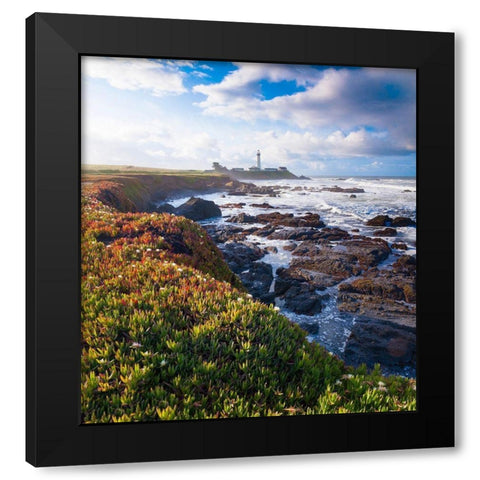 Pigeon Point Lighthouse-Big Sur-California-USA Black Modern Wood Framed Art Print with Double Matting by Miller, Anna