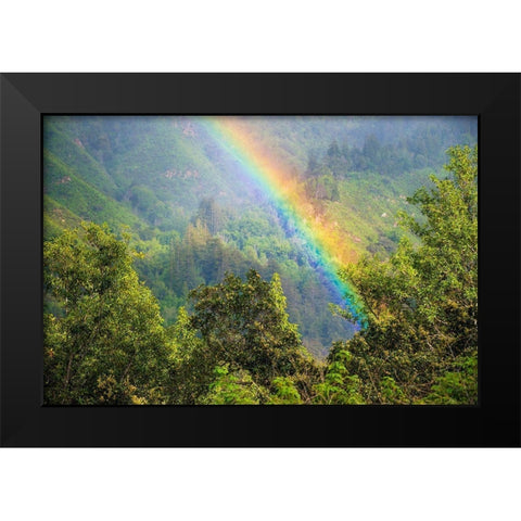 Rainbow in Andrew Molera State Park-California-USA Black Modern Wood Framed Art Print by Miller, Anna