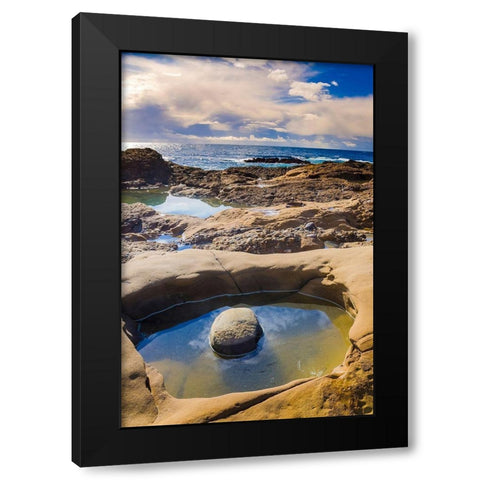 Tidepool-Point Lobos State Natural Reserve-California-USA Black Modern Wood Framed Art Print with Double Matting by Miller, Anna