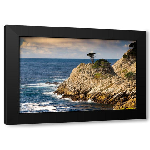 Cypress on Coastal Cliff-Point Lobos State Natural Reserve-California-USA Black Modern Wood Framed Art Print by Miller, Anna