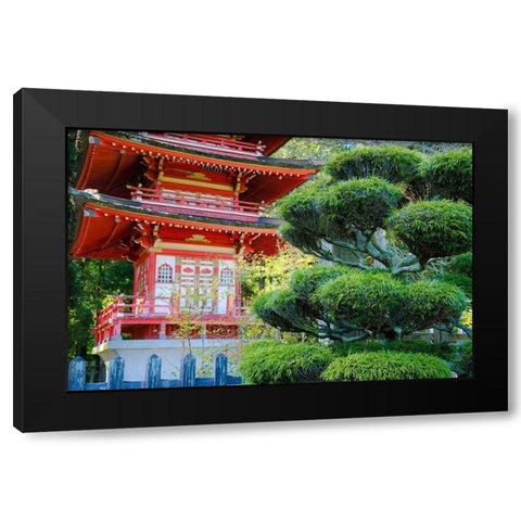 Pagoda-Japanese Tea Garden-Golden Gate Park-San Francisco-California-USA Black Modern Wood Framed Art Print with Double Matting by Miller, Anna