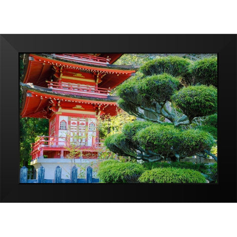Pagoda-Japanese Tea Garden-Golden Gate Park-San Francisco-California-USA Black Modern Wood Framed Art Print by Miller, Anna