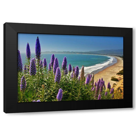 Beach-Coastal Marin Headlands-California-USA Black Modern Wood Framed Art Print with Double Matting by Miller, Anna