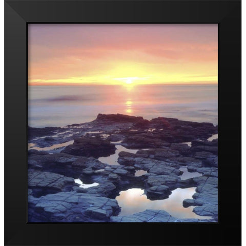 CA, San Diego Sunset Cliffs tide pools at sunset Black Modern Wood Framed Art Print by Talbot Frank, Christopher