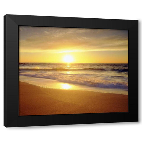 CA, San Diego La Jolla Shores beach at sunset Black Modern Wood Framed Art Print with Double Matting by Talbot Frank, Christopher
