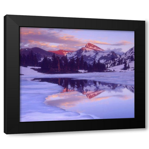 CA, Sierra Nevada Mt Dana at sunset reflection Black Modern Wood Framed Art Print by Talbot Frank, Christopher