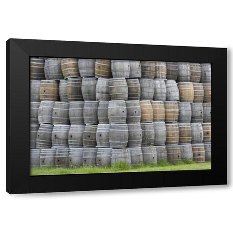 CA, San Luis Obispo Co, Stacks of wine barrels Black Modern Wood Framed Art Print by Flaherty, Dennis