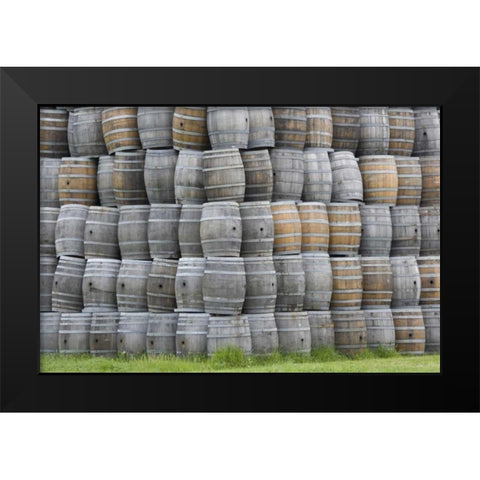 CA, San Luis Obispo Co, Stacks of wine barrels Black Modern Wood Framed Art Print by Flaherty, Dennis