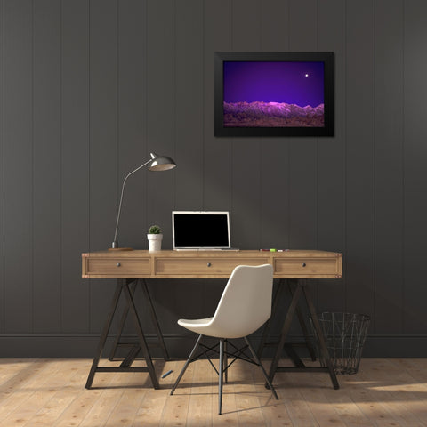 CA, Alabama Hills Moon over the Eastern Sierras Black Modern Wood Framed Art Print by Welling, Dave