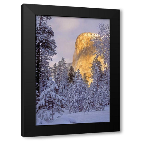 California, Yosemite El Capitan lit by sunlight Black Modern Wood Framed Art Print with Double Matting by Welling, Dave