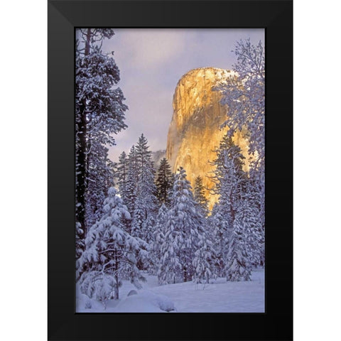 California, Yosemite El Capitan lit by sunlight Black Modern Wood Framed Art Print by Welling, Dave
