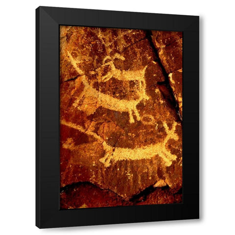 California, Little Petroglyph Canyon Petroglyphs Black Modern Wood Framed Art Print with Double Matting by Welling, Dave