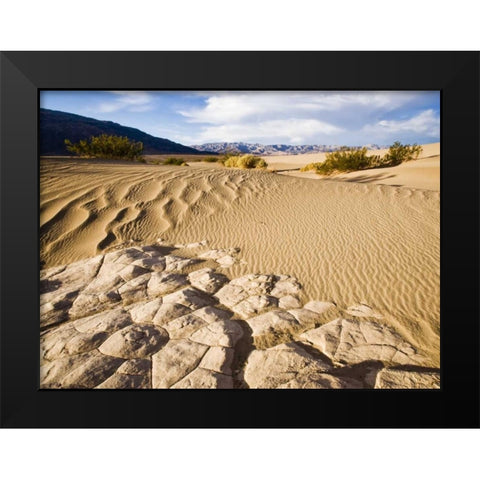 CA, Death Valley NP Mesquite Flat Sand Dunes Black Modern Wood Framed Art Print by Kaveney, Wendy