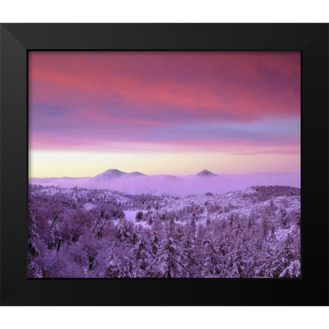 CA, San Diego Snowy trees in the Laguna Mts Black Modern Wood Framed Art Print by Talbot Frank, Christopher
