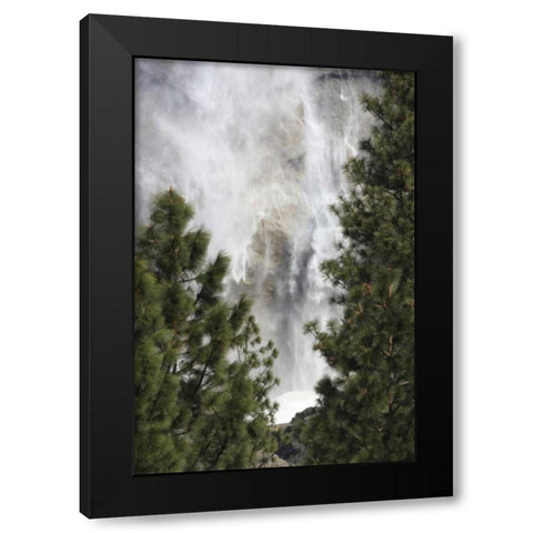 CA, Yosemite View o fYosemite Falls in March Black Modern Wood Framed Art Print by Noble Gardner, Nancy