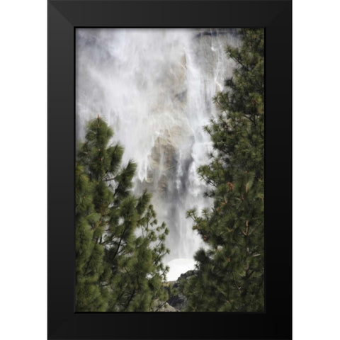 CA, Yosemite View o fYosemite Falls in March Black Modern Wood Framed Art Print by Noble Gardner, Nancy