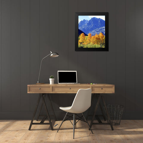 CA, Sierra Nevada Autumn on trees in valley Black Modern Wood Framed Art Print by Talbot Frank, Christopher