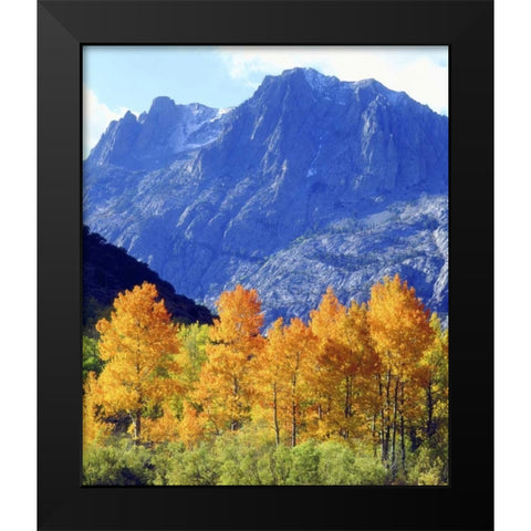 CA, Sierra Nevada Autumn on trees in valley Black Modern Wood Framed Art Print by Talbot Frank, Christopher