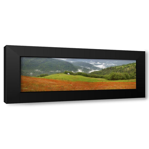 CA, Redwoods Mountain scenic with old barn Black Modern Wood Framed Art Print with Double Matting by Paulson, Don