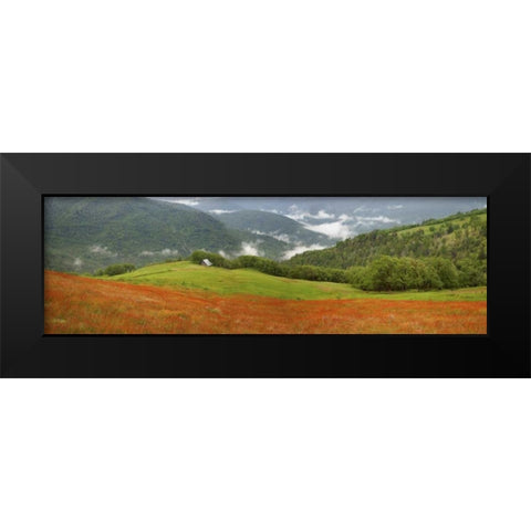 CA, Redwoods Mountain scenic with old barn Black Modern Wood Framed Art Print by Paulson, Don