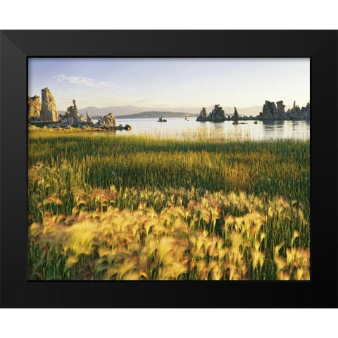 CA, Eastern Sierras, Mono Lake landscape Black Modern Wood Framed Art Print by Flaherty, Dennis