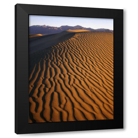 Patterns at Mesquite Sand dunes, Death Valley, CA Black Modern Wood Framed Art Print with Double Matting by Flaherty, Dennis