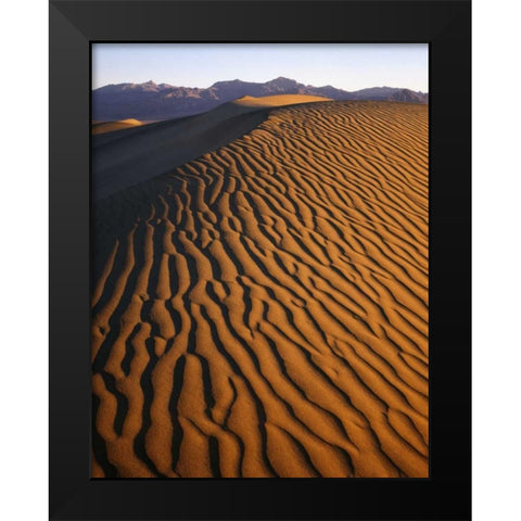 Patterns at Mesquite Sand dunes, Death Valley, CA Black Modern Wood Framed Art Print by Flaherty, Dennis