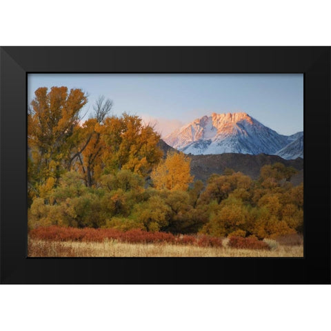 CA, Sierra Nevada, Owens Valley Basin Mountain Black Modern Wood Framed Art Print by Flaherty, Dennis