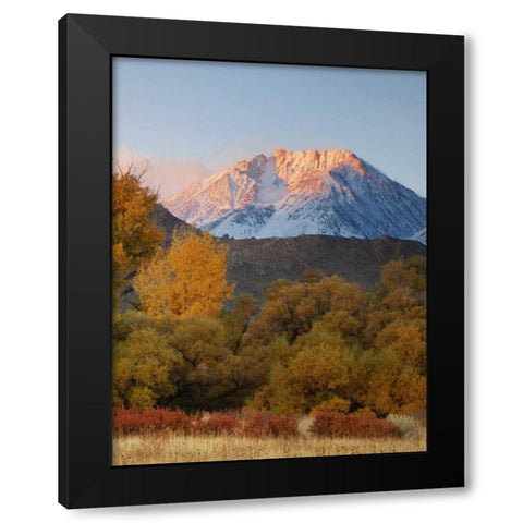 CA, Sierra Nevada, Owens Valley Basin Mountain Black Modern Wood Framed Art Print with Double Matting by Flaherty, Dennis