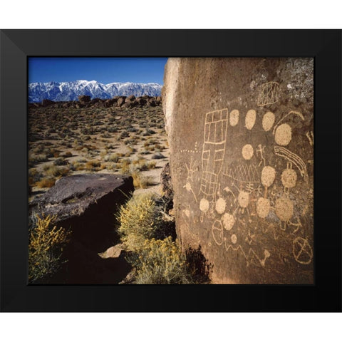 CA, Bishop, Sierra Mts Curvilinear petroglyphs Black Modern Wood Framed Art Print by Flaherty, Dennis