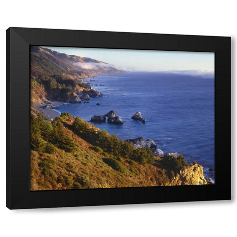 CA, Julia Pfeifer Burns SP Shoreline scenic Black Modern Wood Framed Art Print with Double Matting by Flaherty, Dennis