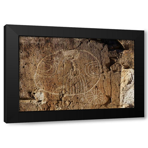 California, Owens Valley, Curvilinear petroglyphs Black Modern Wood Framed Art Print with Double Matting by Flaherty, Dennis