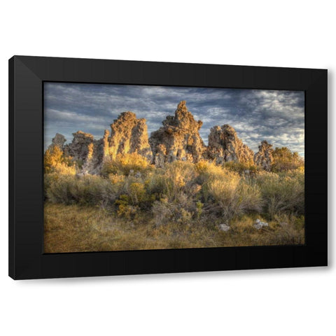 California, Mono Lake Sunrise on tufas and grass Black Modern Wood Framed Art Print by Carter, Jean