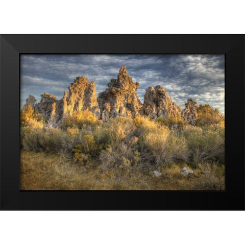 California, Mono Lake Sunrise on tufas and grass Black Modern Wood Framed Art Print by Carter, Jean